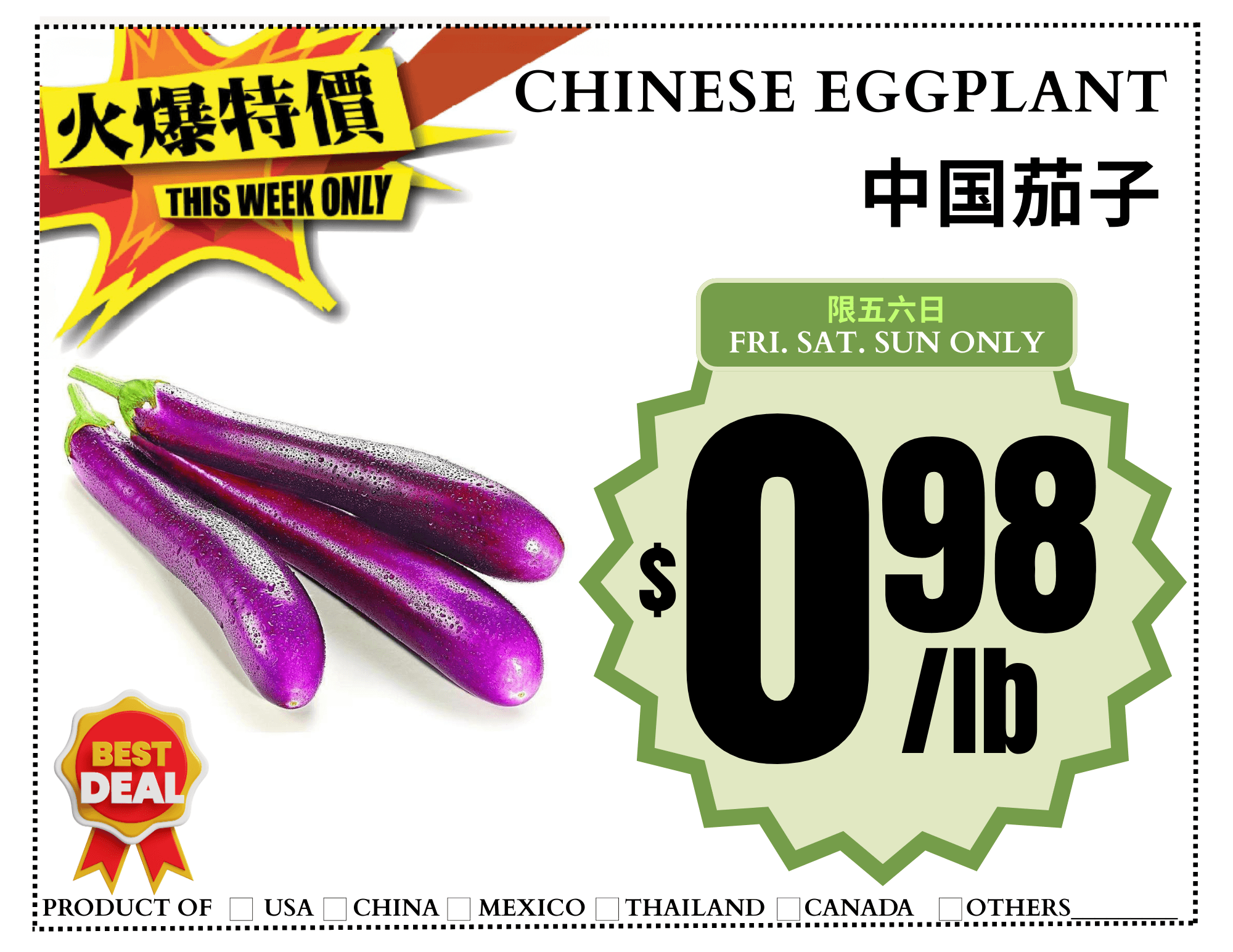 Chinese eggplant sample special