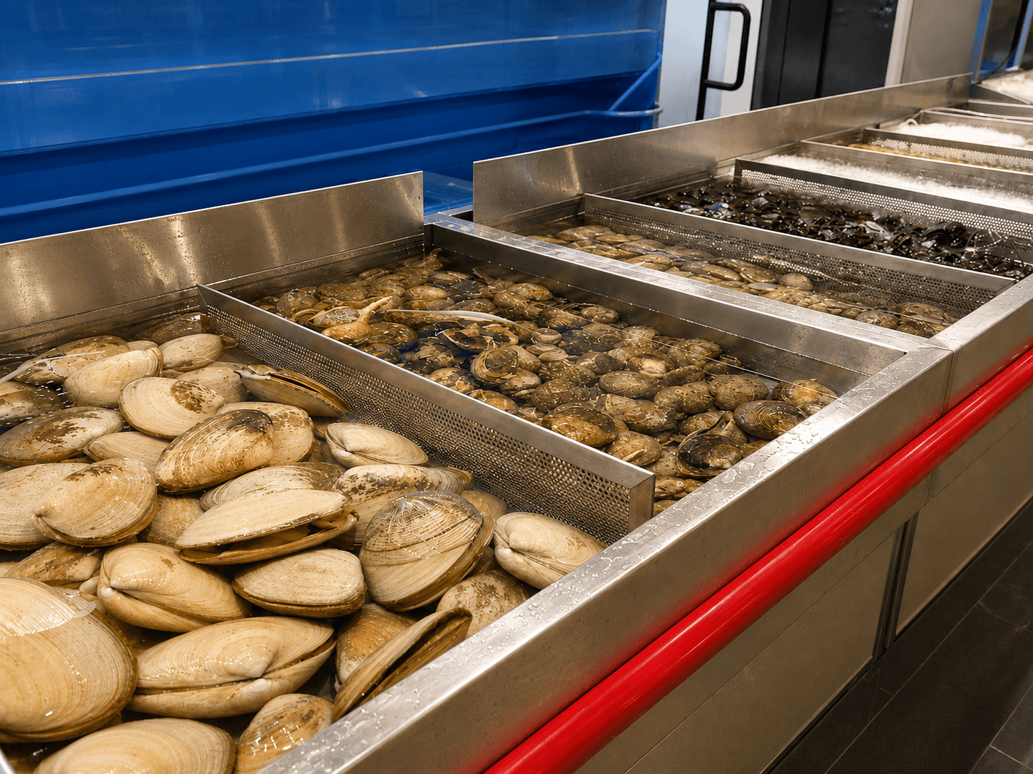 Live seafood department at Good Fortune Dallas