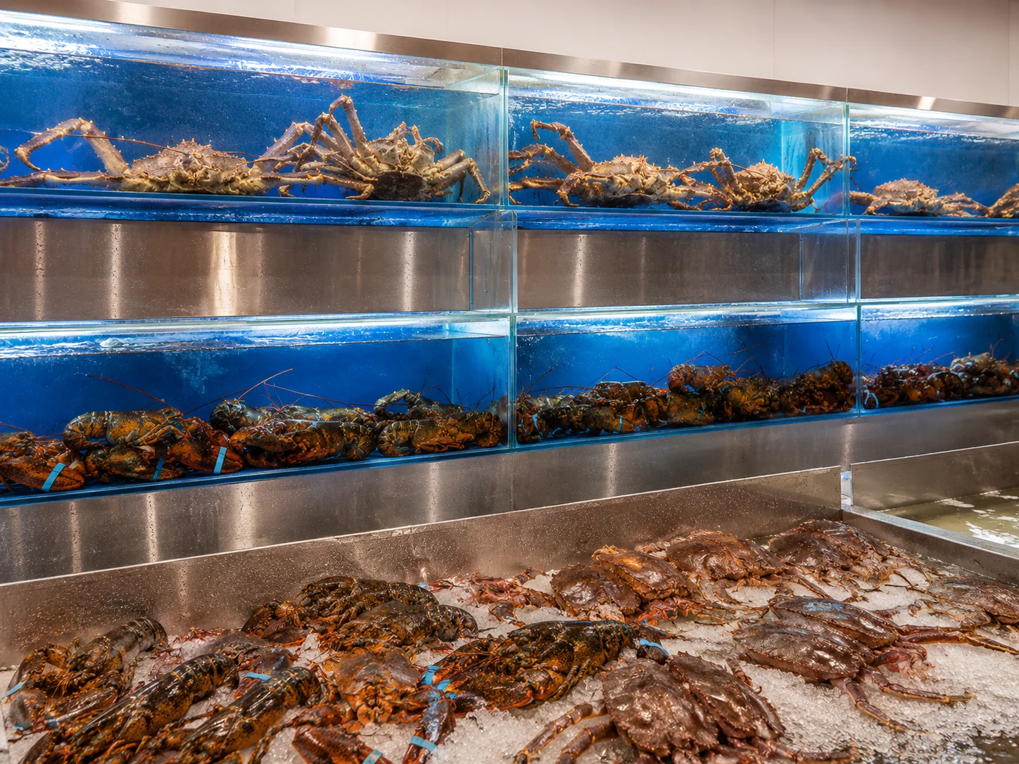 Live seafood tanks